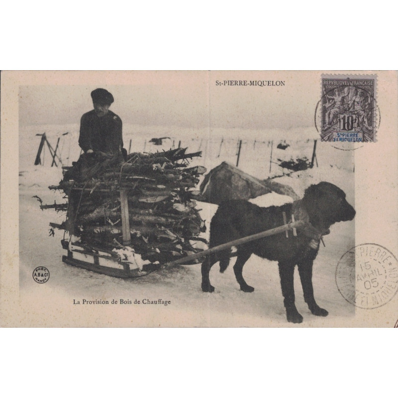SAINT PIERRE ET MIQUELON - GROUPE 10c SUR CARTE DU 15 AVRIL 1905 - ATTELAGE A CHIEN.
