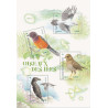 F5460 - OISEAUX DES ILES - FEUILLET NATURE - 2021.