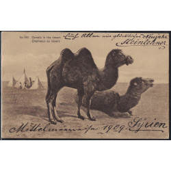 SYRIE - BEYROUTH - TYPE BLANC SUR CARTE POSTALE POUR L'ALLEMAGNE LE 27-12-1909.