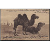 SYRIE - BEYROUTH - TYPE BLANC SUR CARTE POSTALE POUR L'ALLEMAGNE LE 27-12-1909.