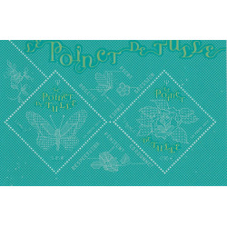 F5187 - ARTISANAT - LE POINCT DE TULLE.