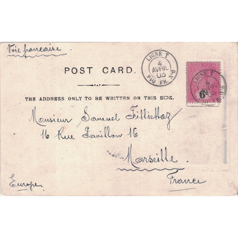 CEYLAN - CARTE POSTALE POUR LA FRANCE - CACHET PAQUEBOT - LIGNE T PAQ.FR.N°6 - LE 4-4-1903 - RARE.