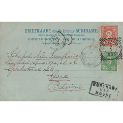 SURINAME - COLONIE DES PAYS-BAS - PARAMARIBO - LE 2-2-1903 - CACHET RECTANGULAIRE - SURINAME VIA HAVRE.