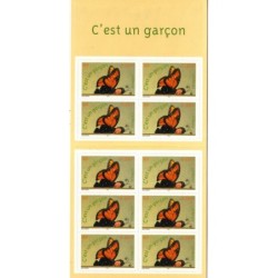 BC3635 - C'EST UN GARCON - 2004.