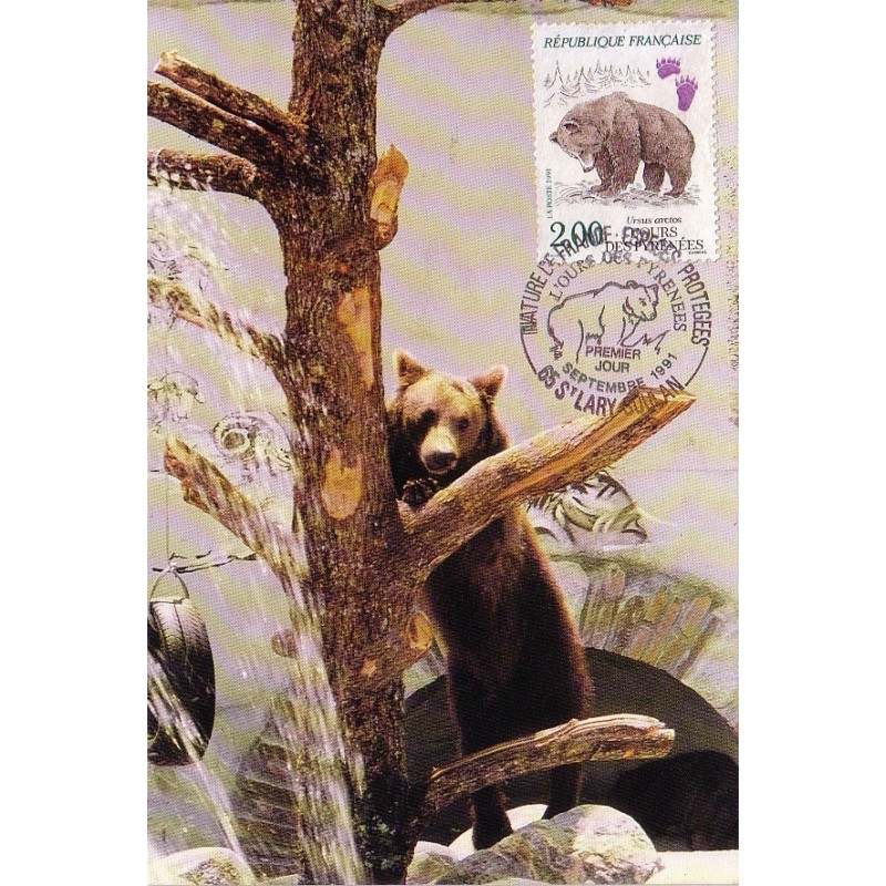 CARTE MAXIMUM - L'OURS DES PYRENEES - 14-9-1991.