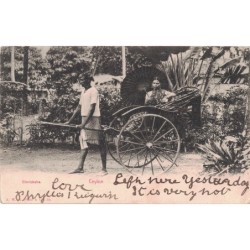 TYPE MOUCHON - MARSEILLE A NOUMEA PAQ.FR.No1 - CARTE POSTALE DE CEYLAN - POUSSE-POUSSE.